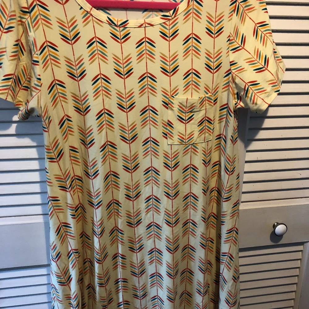 Lularoe Small Carly